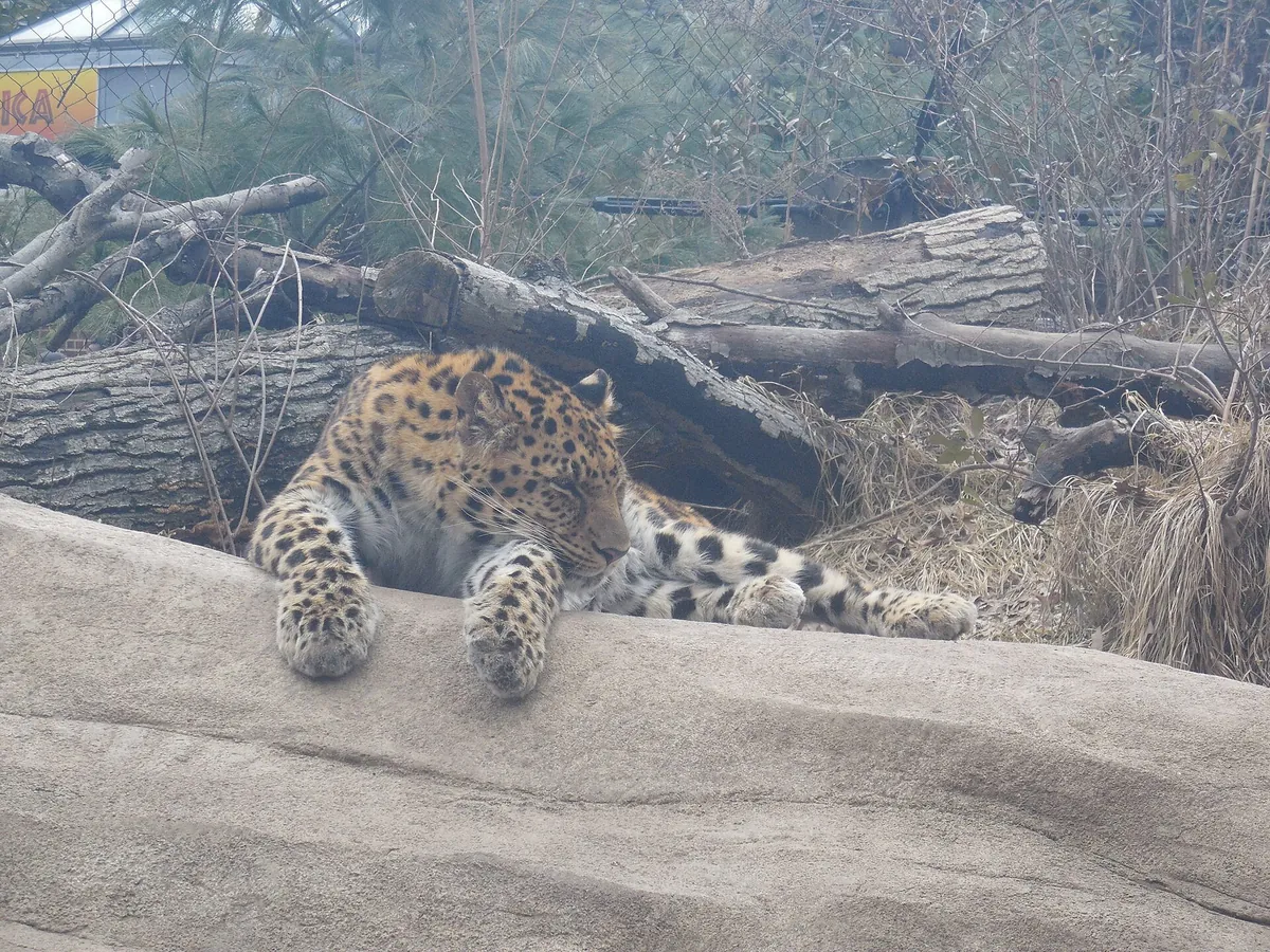 Staten Island Zoo