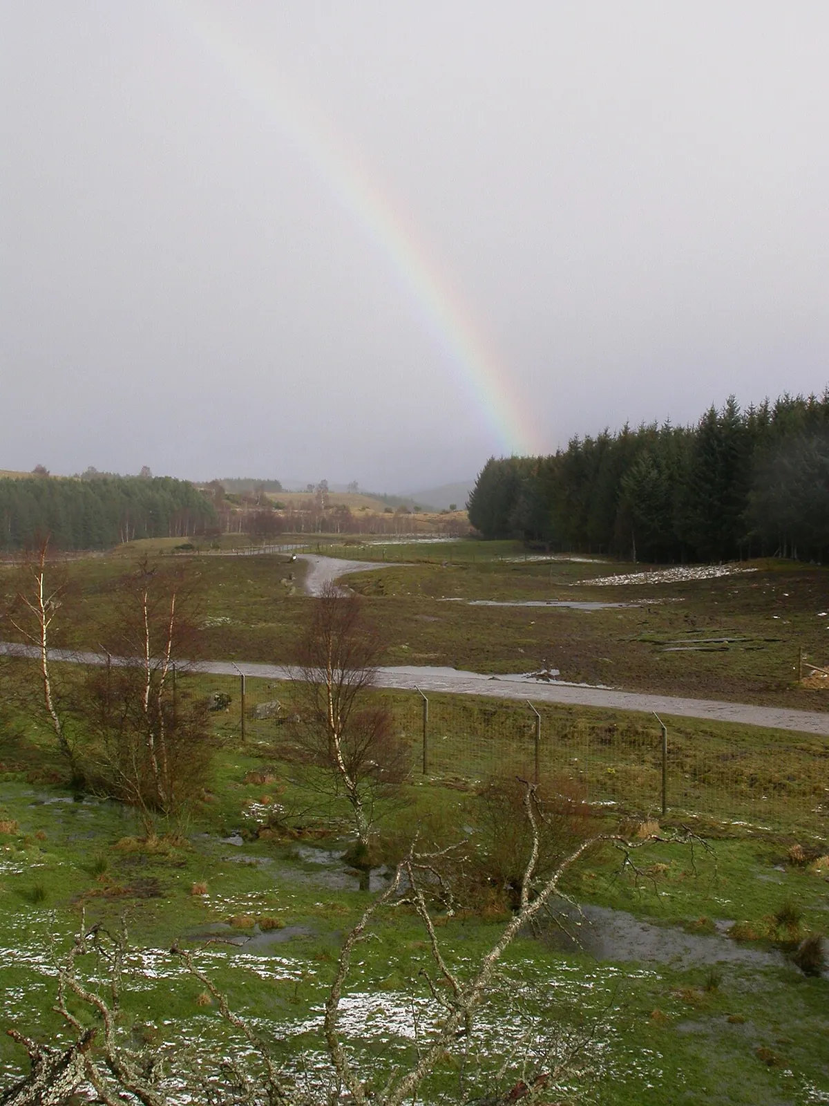 RZSS Highland Wildlife Park