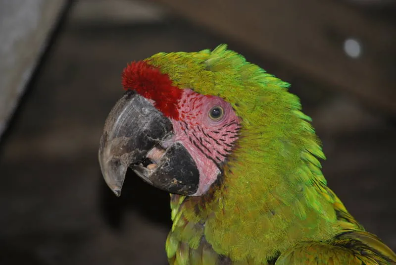 Parque de la Conservación