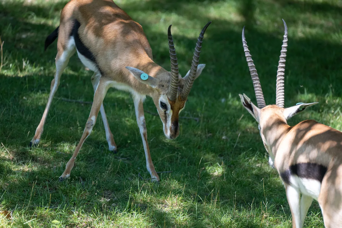 Milwaukee County Zoological Gardens