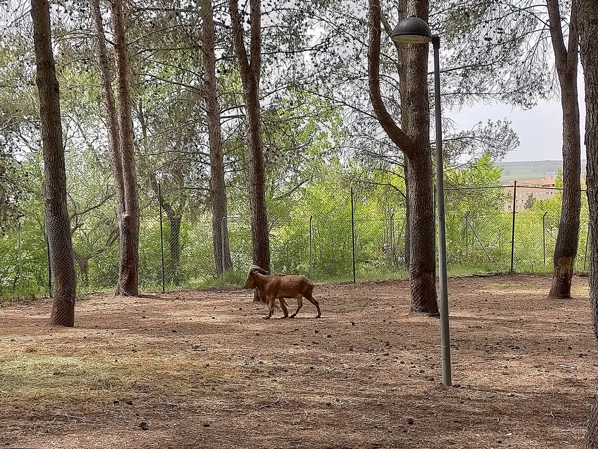 PARQUE ZOOLÓGICO DE GUADALAJARA
