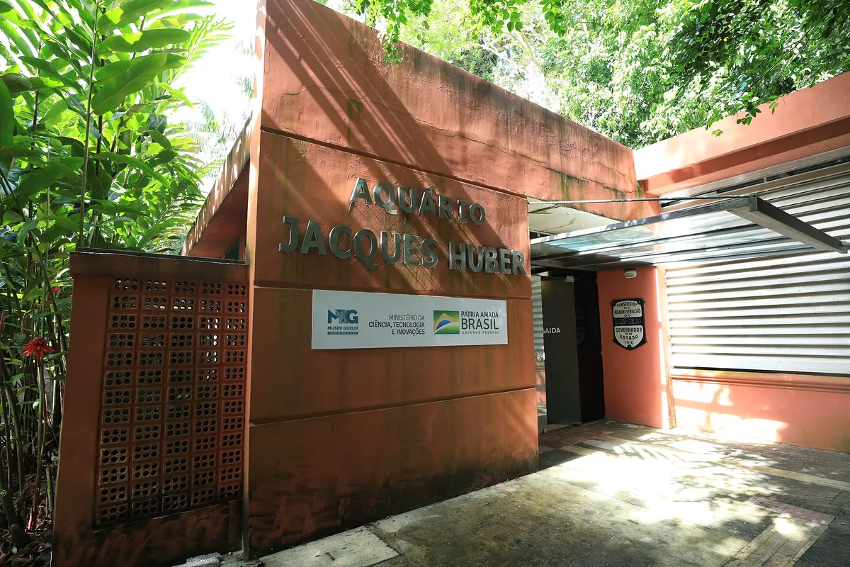 Jacques Huber Aquarium