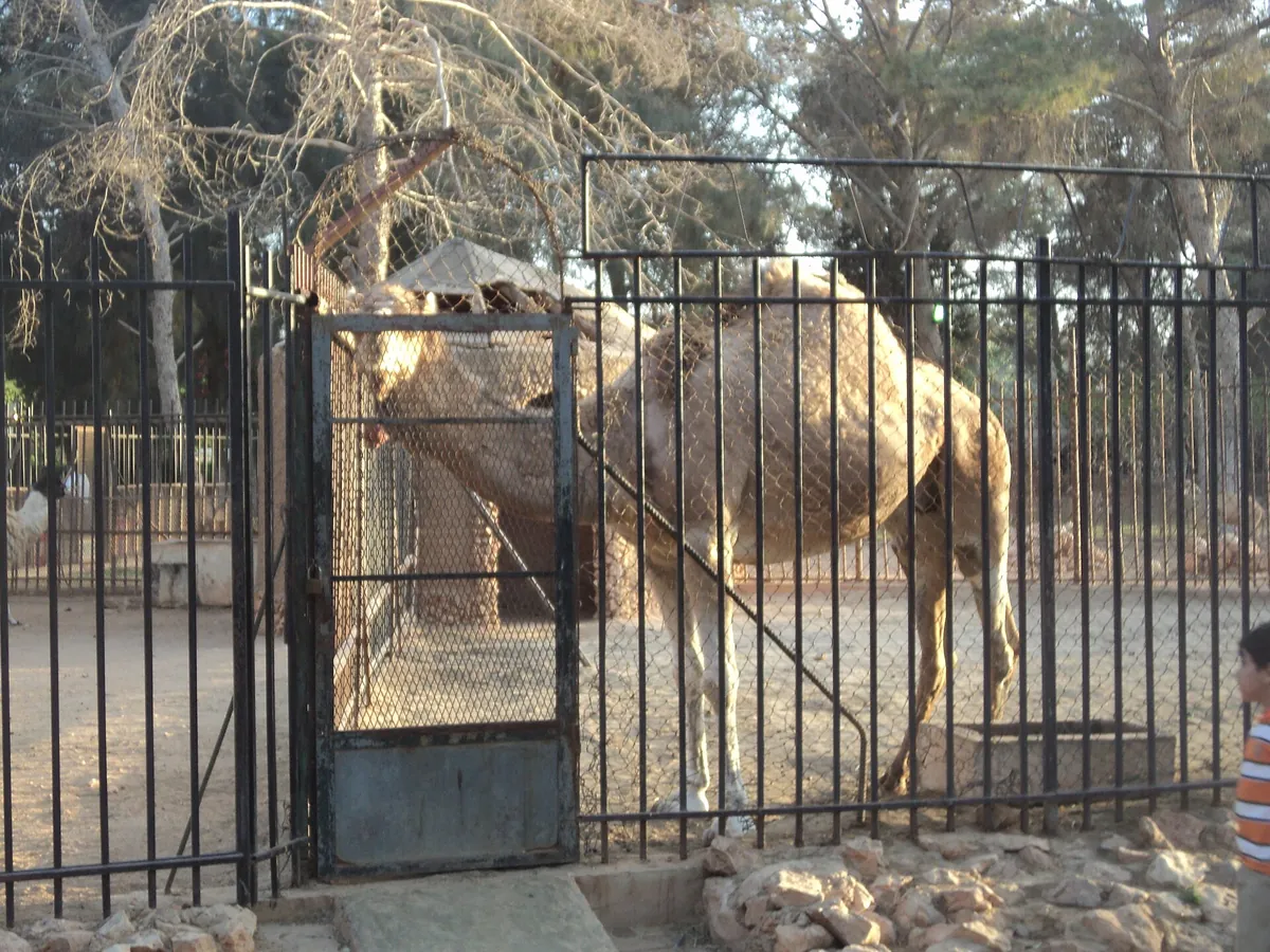 Benghazi Zoo