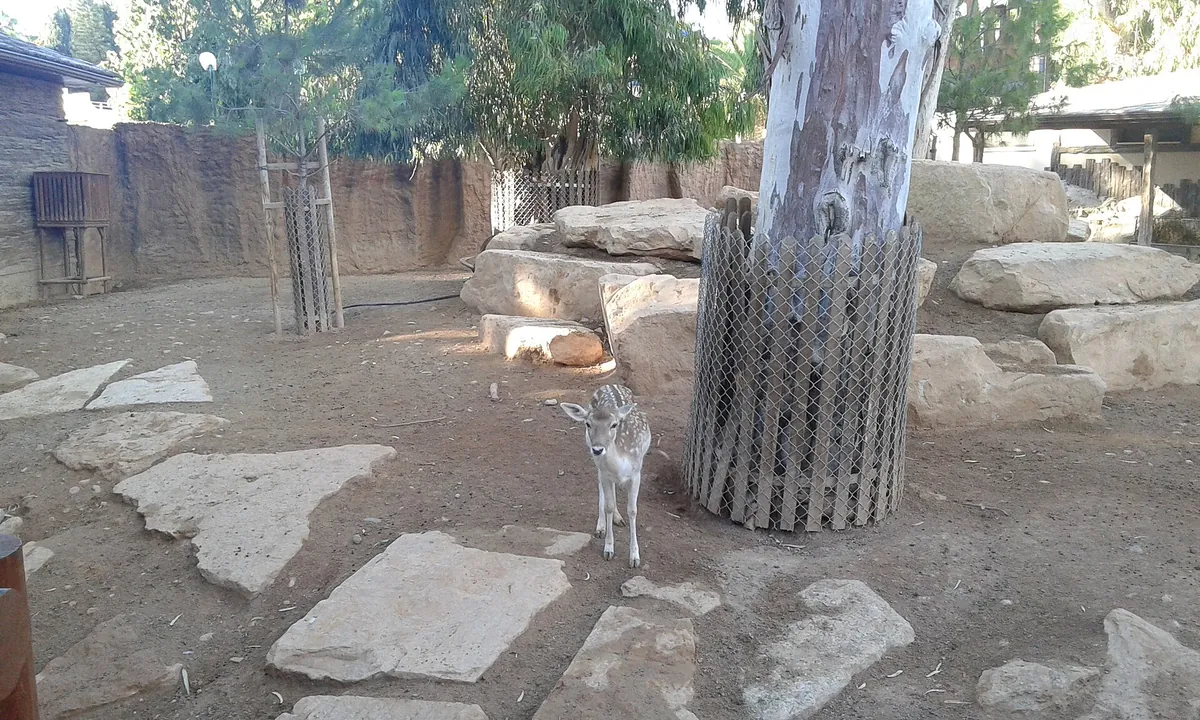 Limassol Zoo