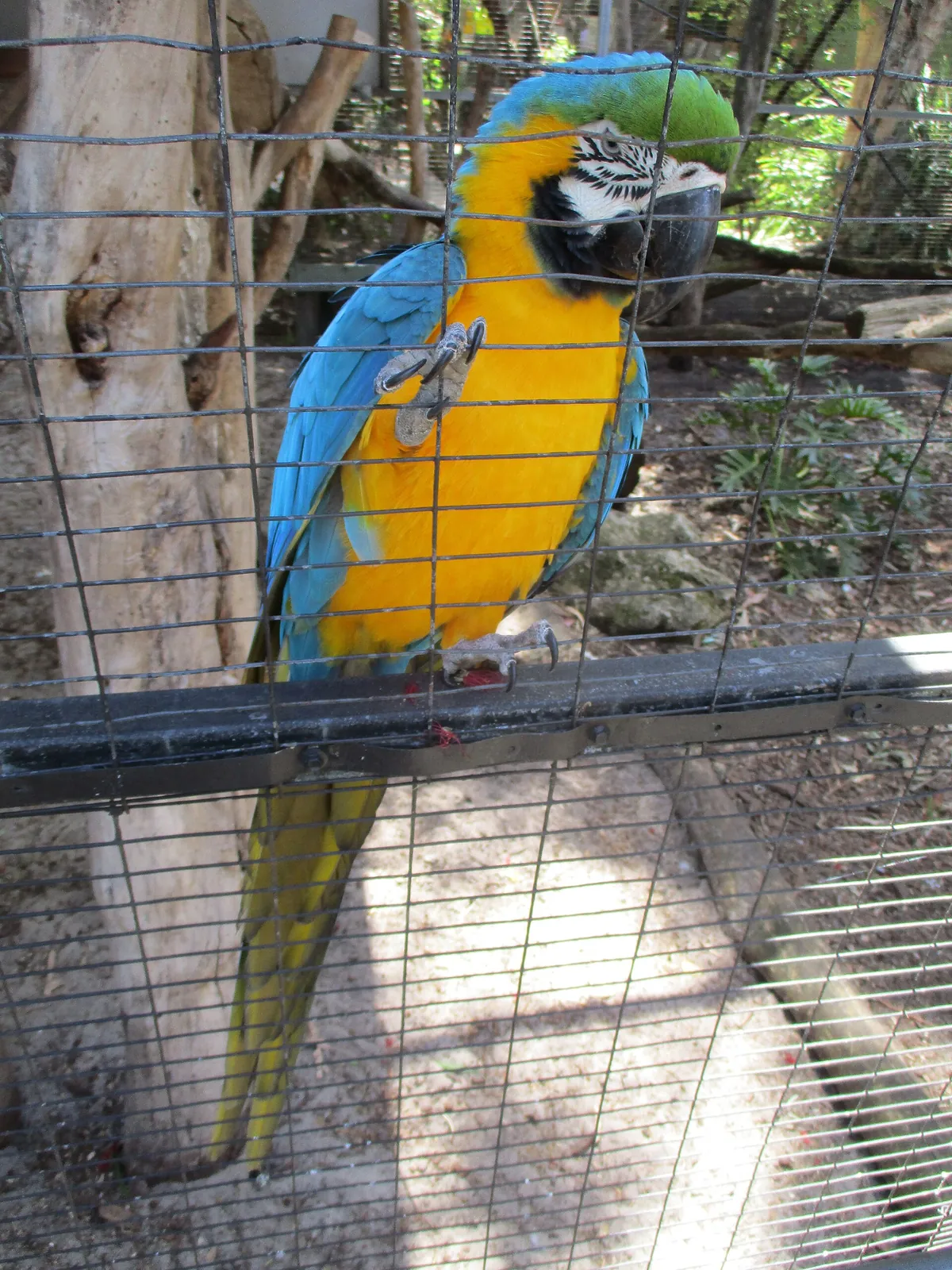 Ranger Red’s Zoo & Conservation Park