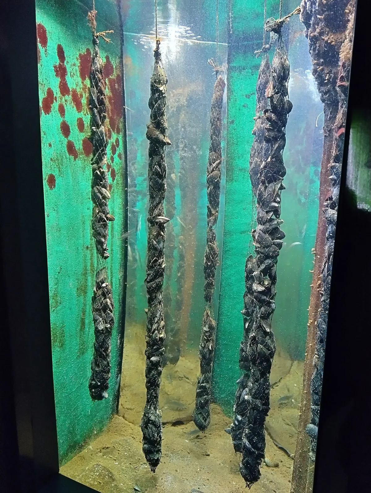 Cretaquarium