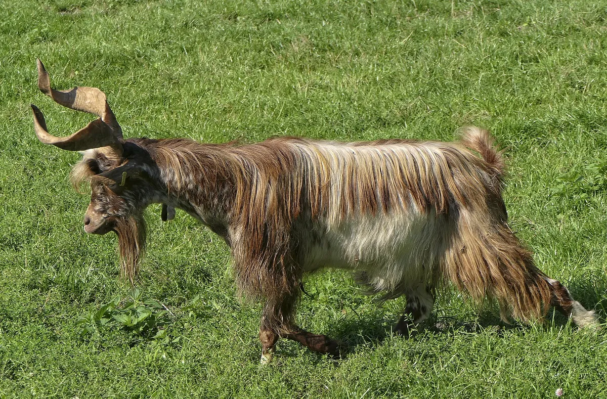 Tierpark Arche Warder