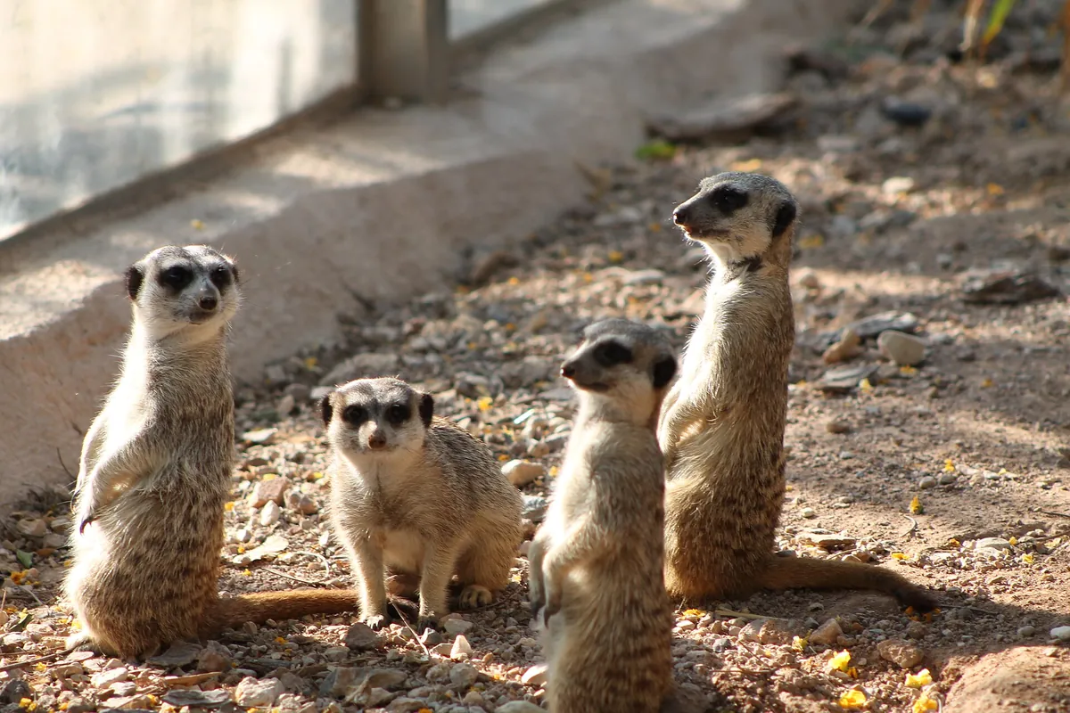 Terra Natura Murcia