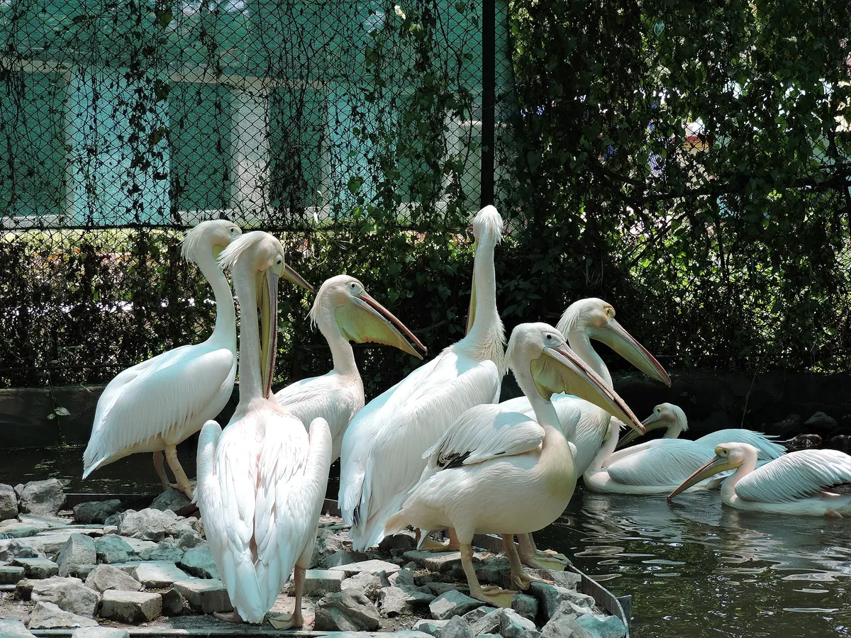 Maitri Baagh Zoo
