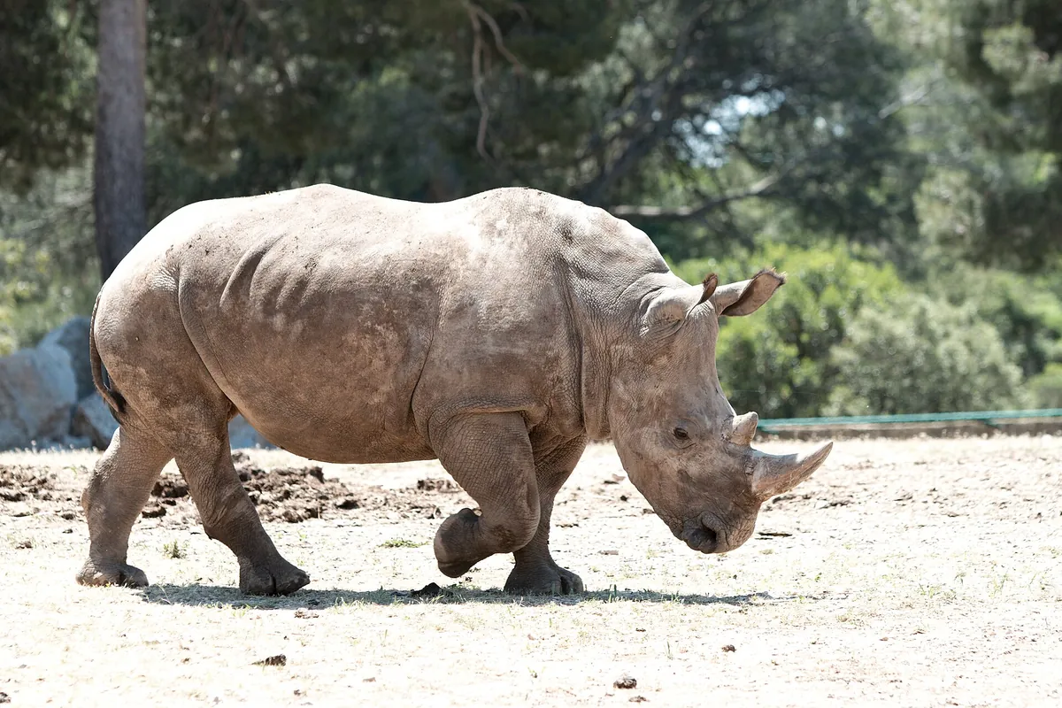 Zoo La Barben