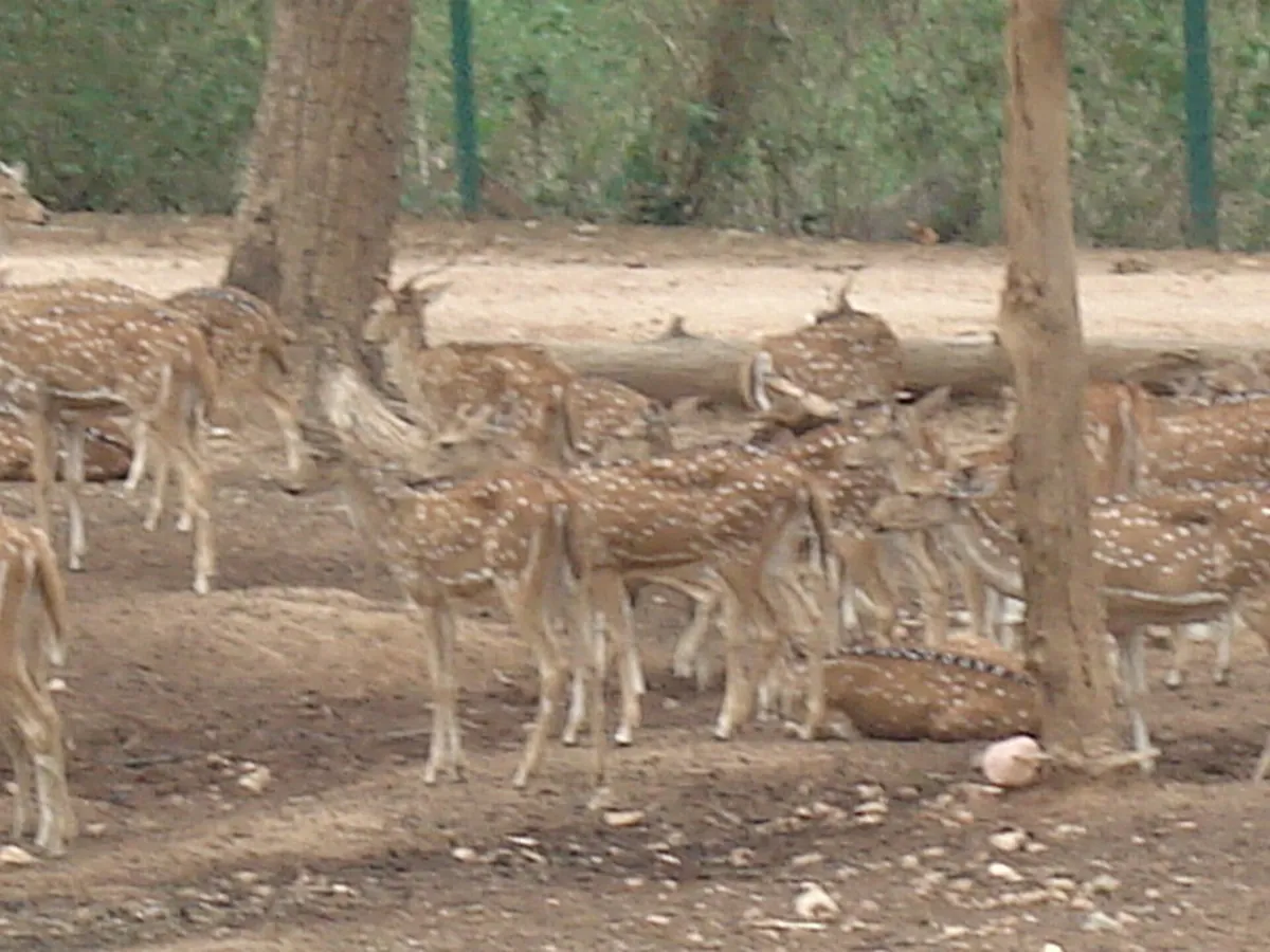 Bhagwan Birsa Biological Park