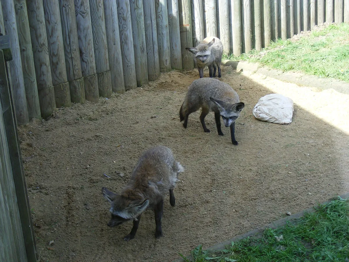 Africa Alive Zoological Reserve