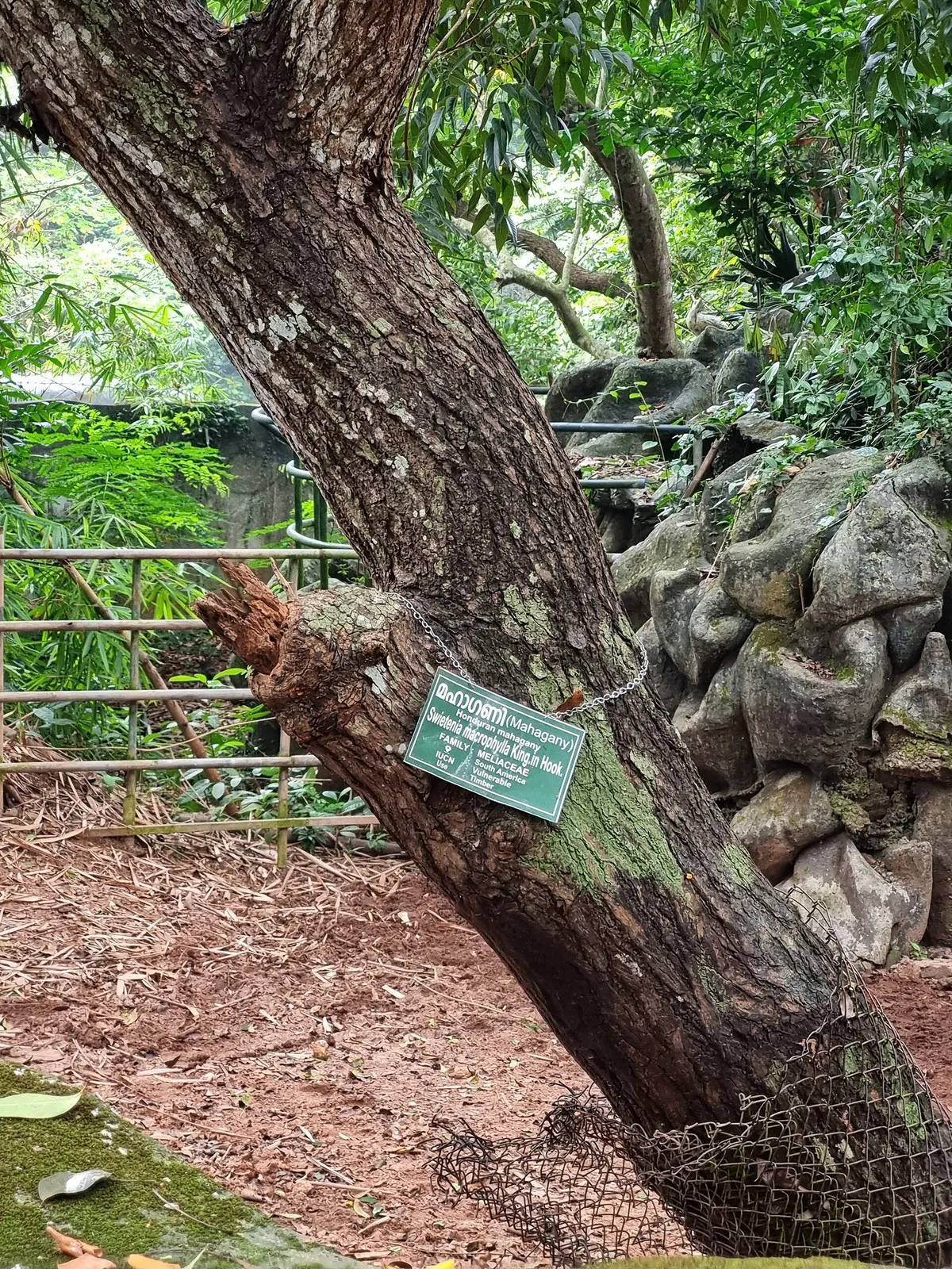Thiruvananthapuram Zoo