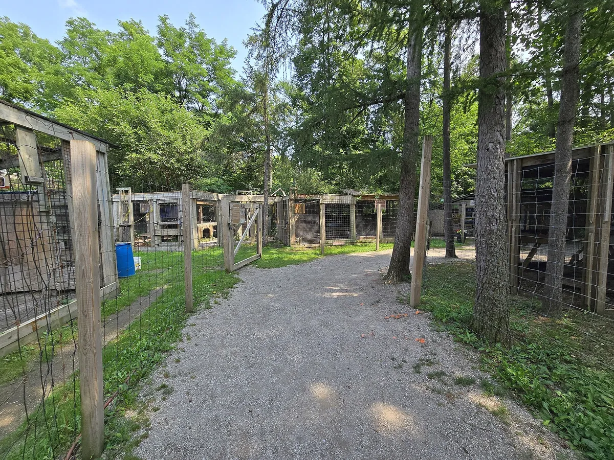 Killman Zoo