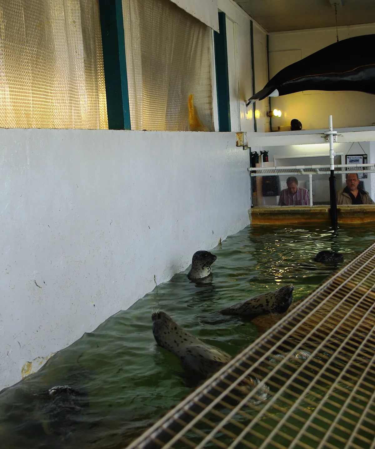 Seaside Aquarium