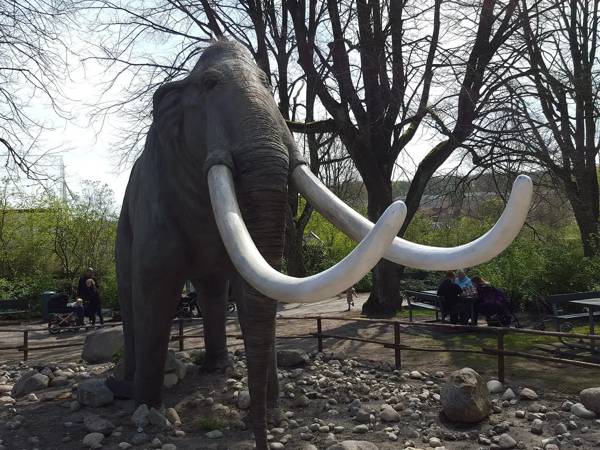 Aalborg Zoo
