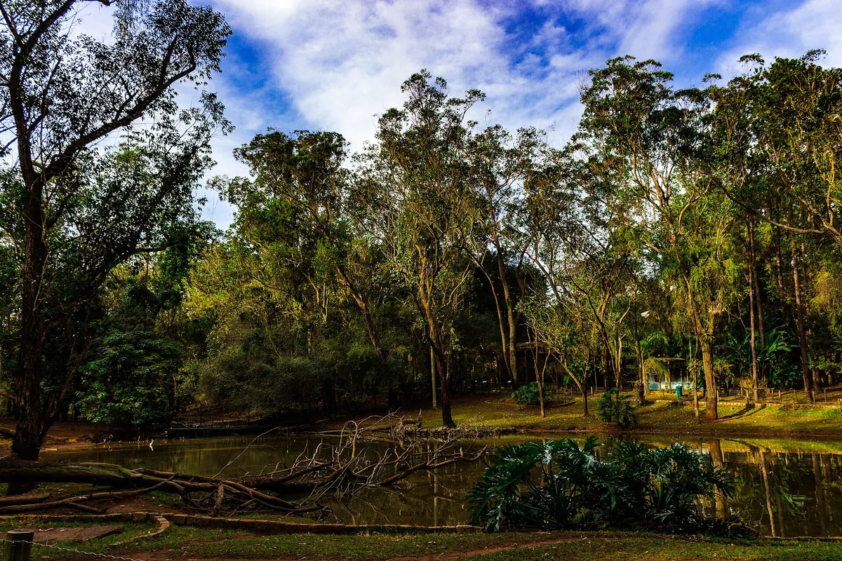 Parque Ecológico de São Carlos