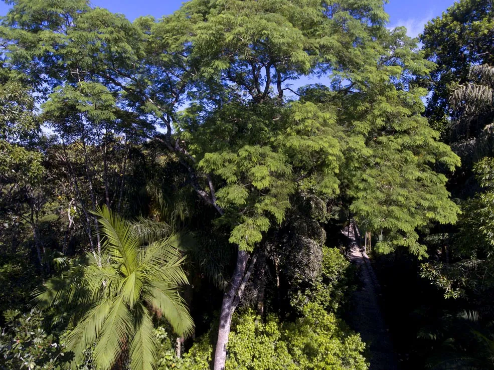 Zoobotanic Park of Brusque