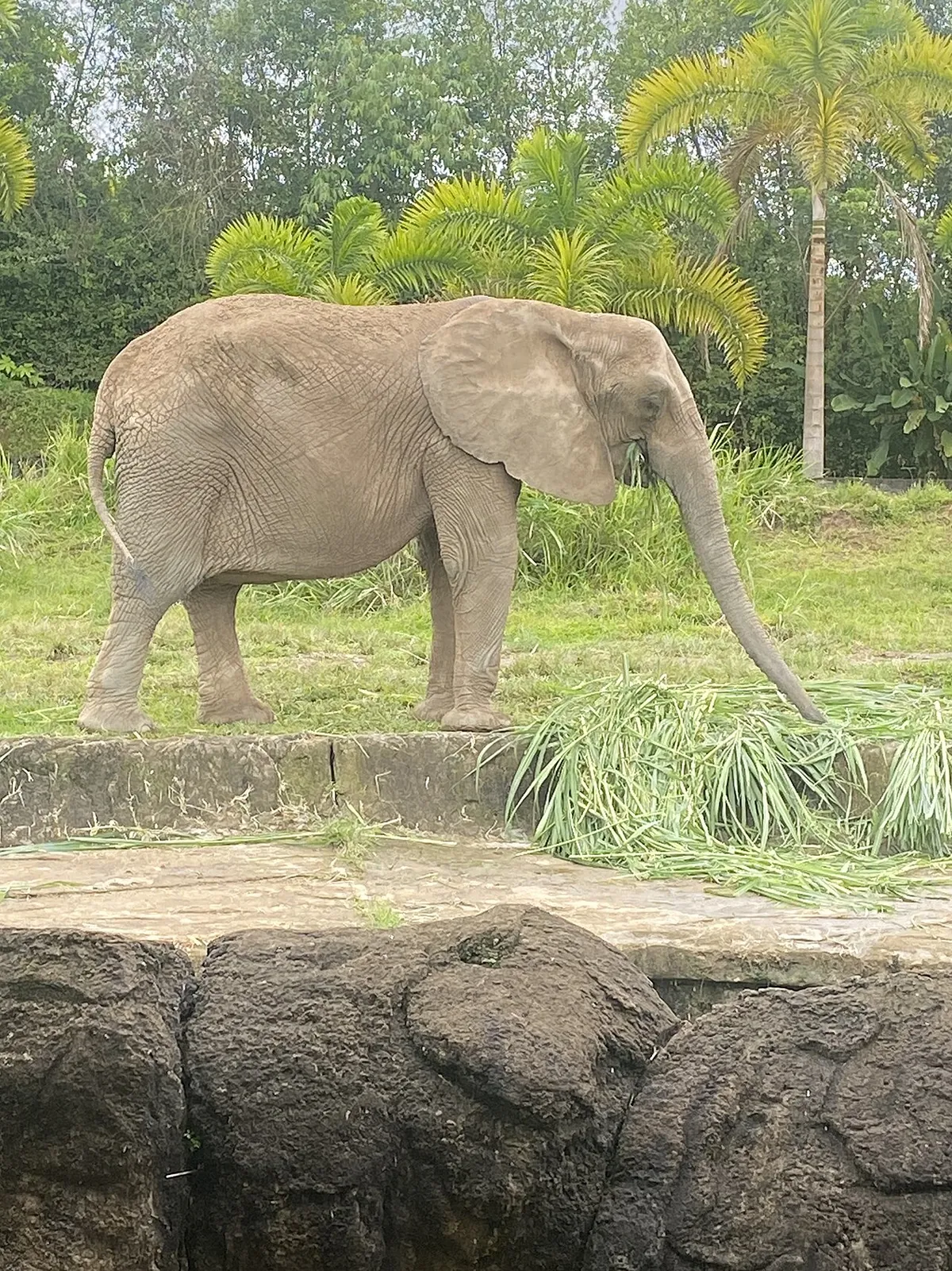 Bioparque UKUMARI