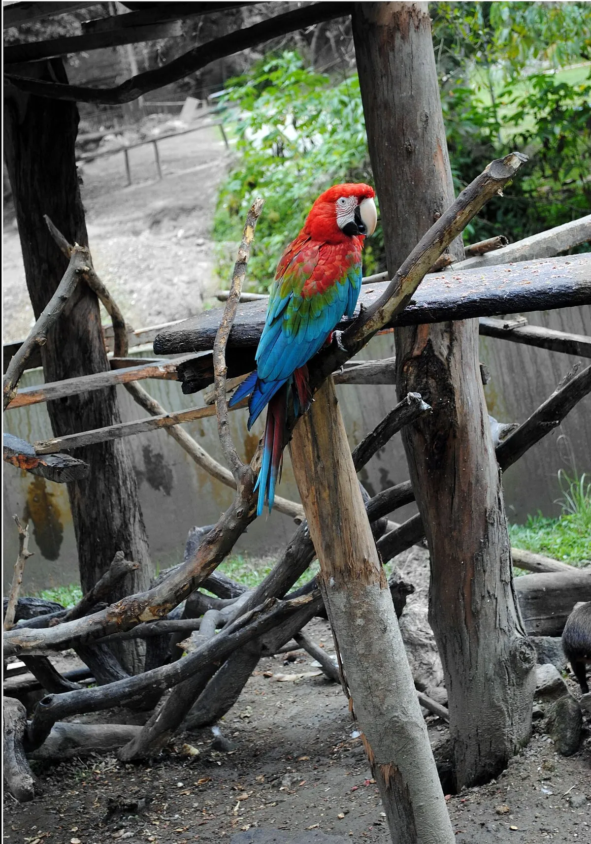 Parque Zoológico Caricuao