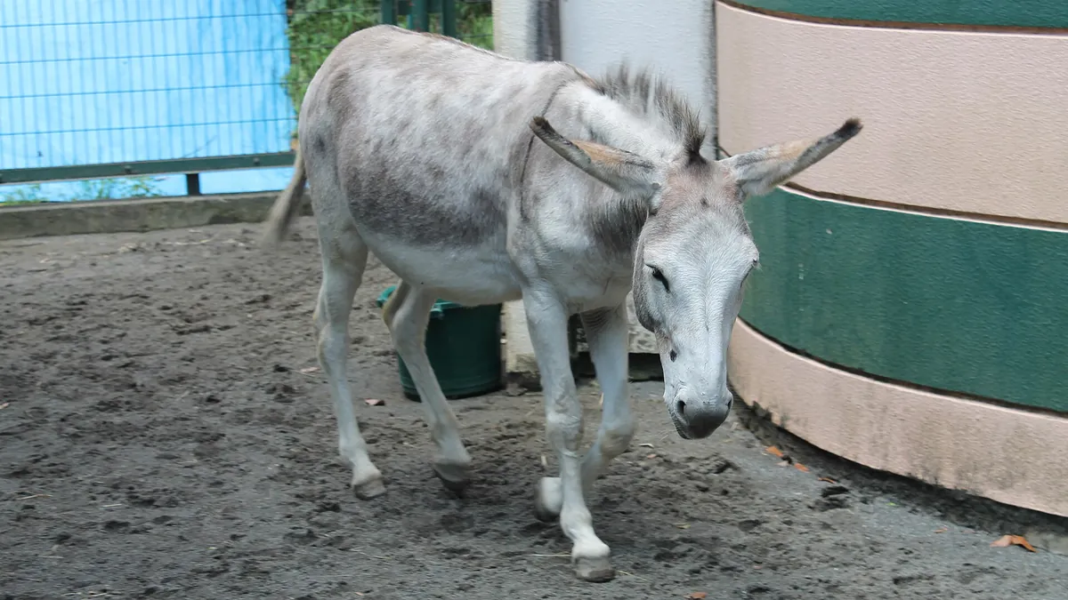 Hamura Zoo