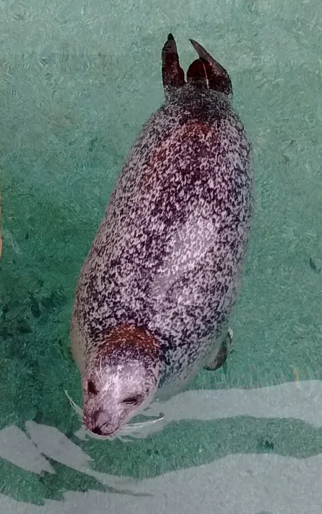 Woods Hole Science Aquarium