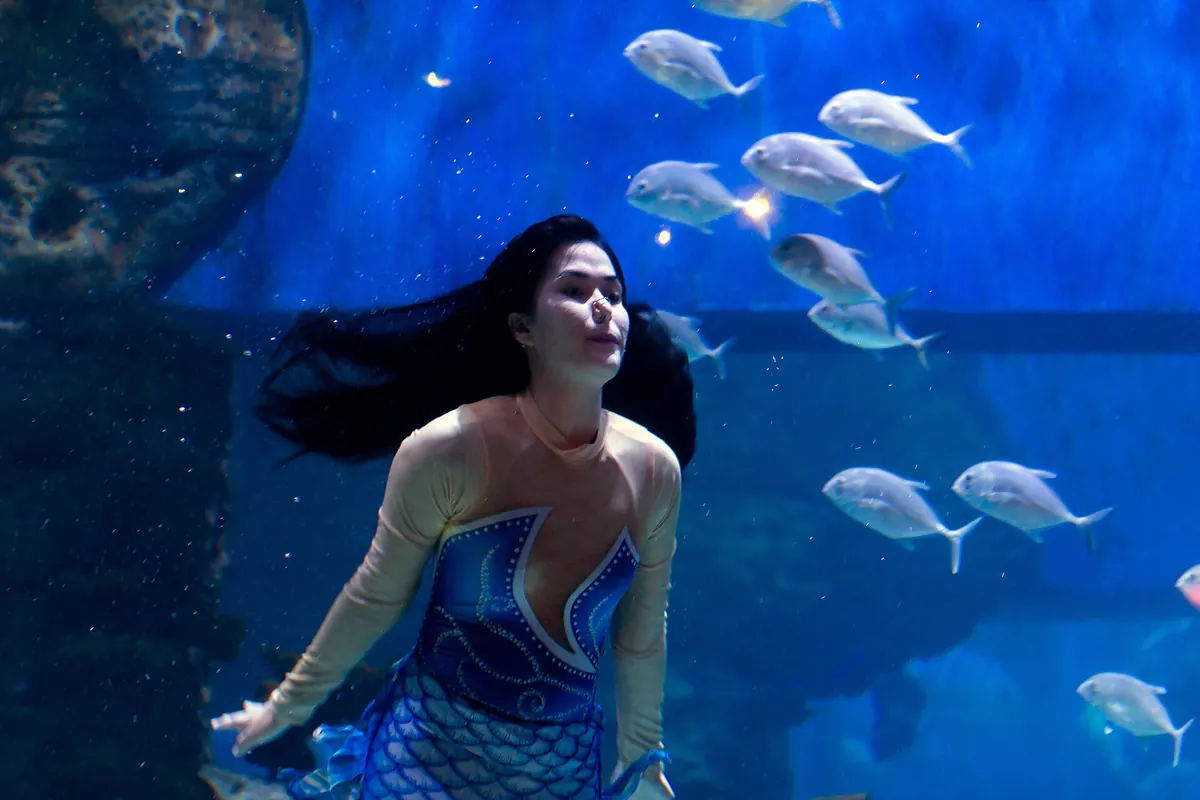Jakarta Aquarium