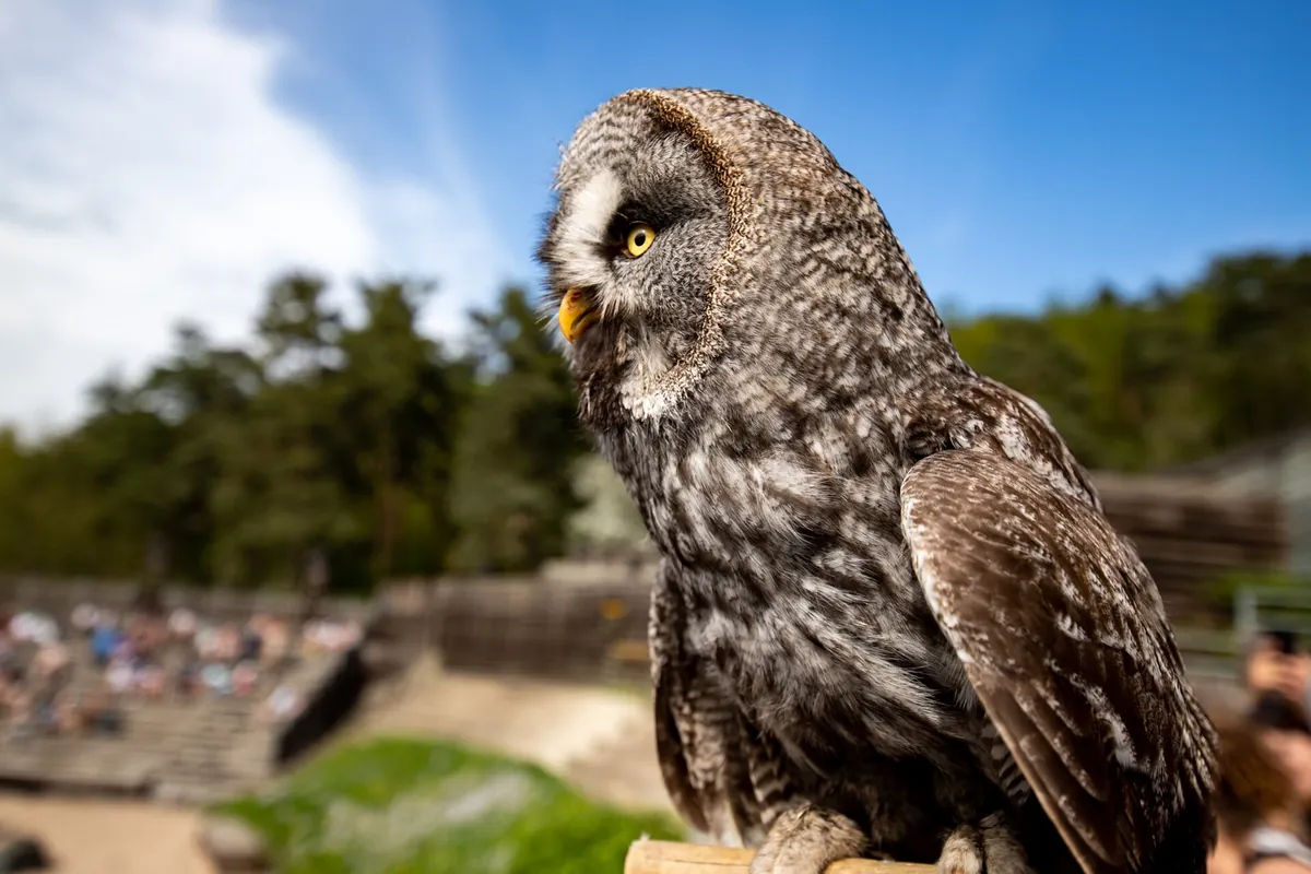 Parc animalier de Courzieu