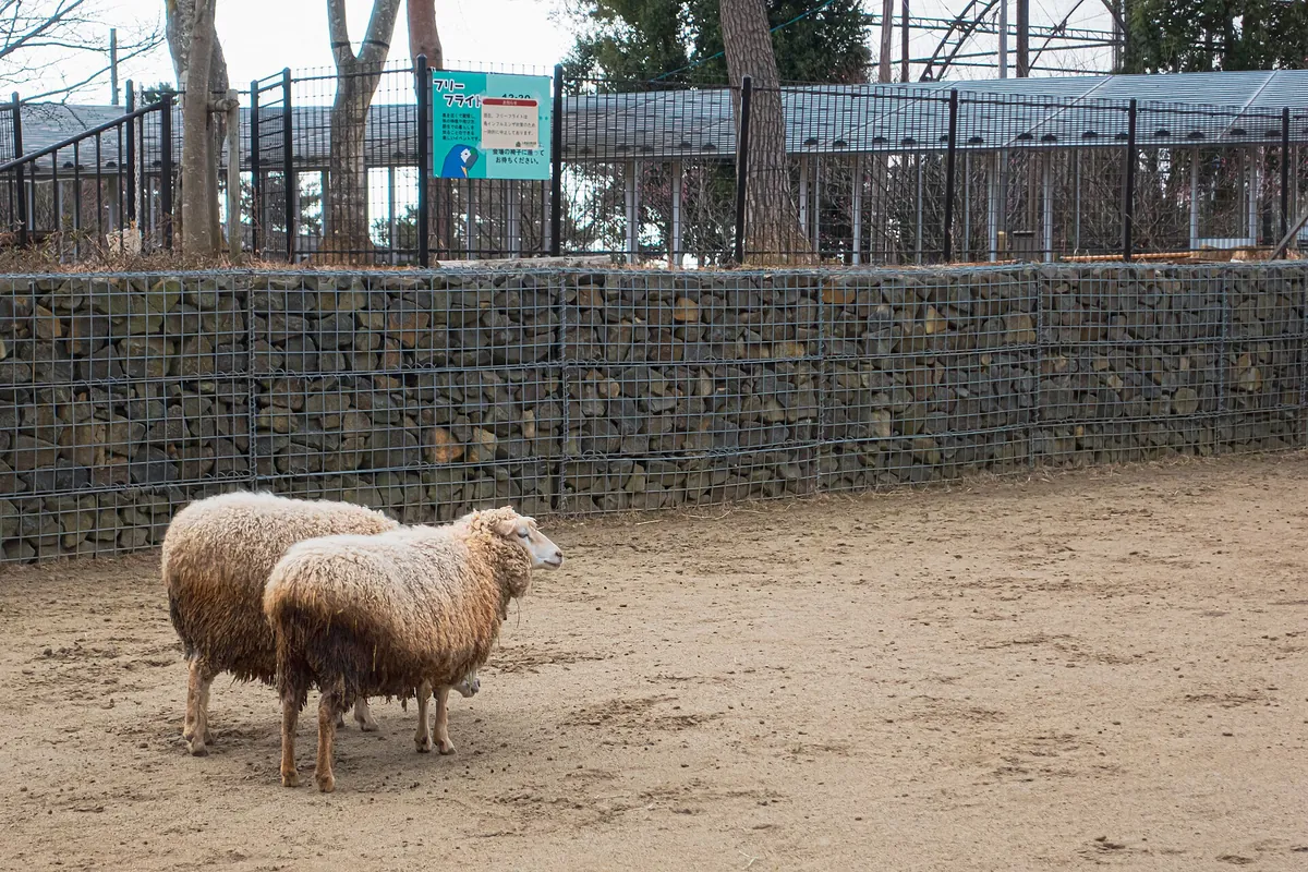 Sendai Yagiyama Zoological Park