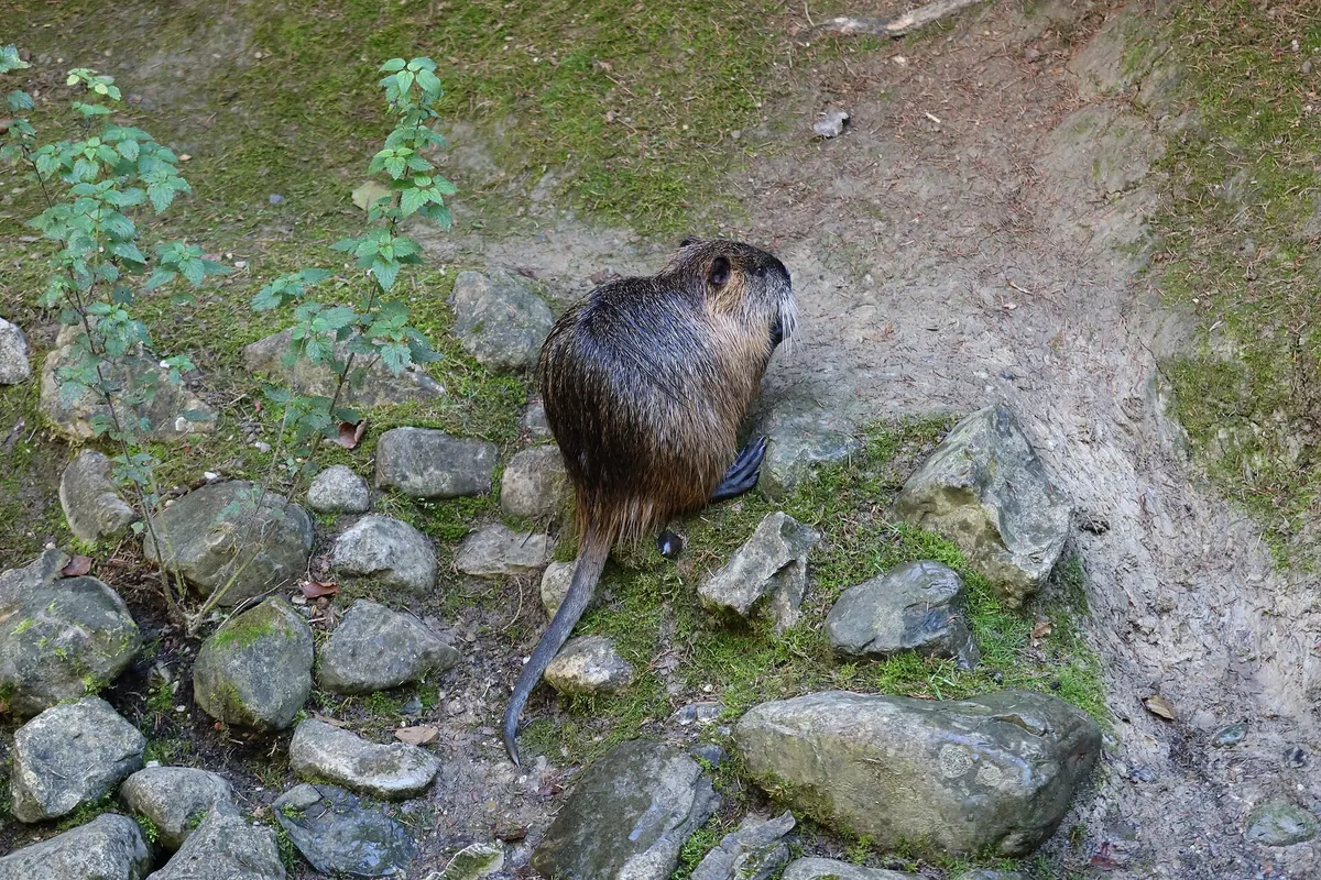 Bergtierpark Blindham