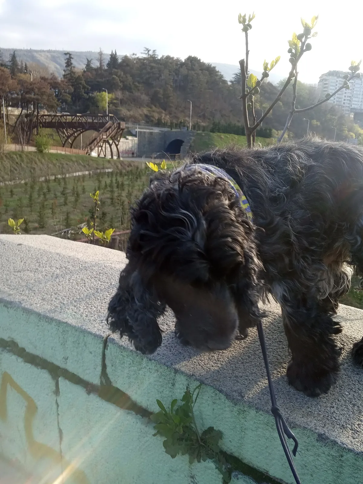 Tbilisi Zoo
