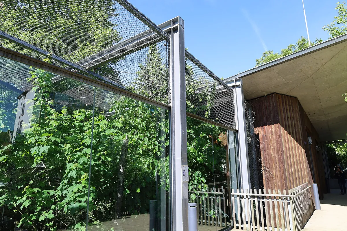 Zoo Frankfurt