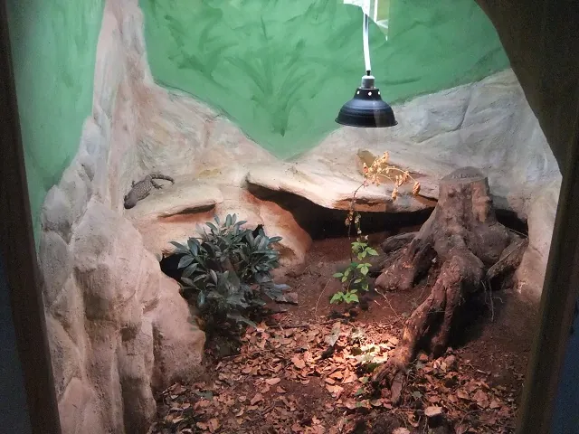 TerraZoo Sontra
