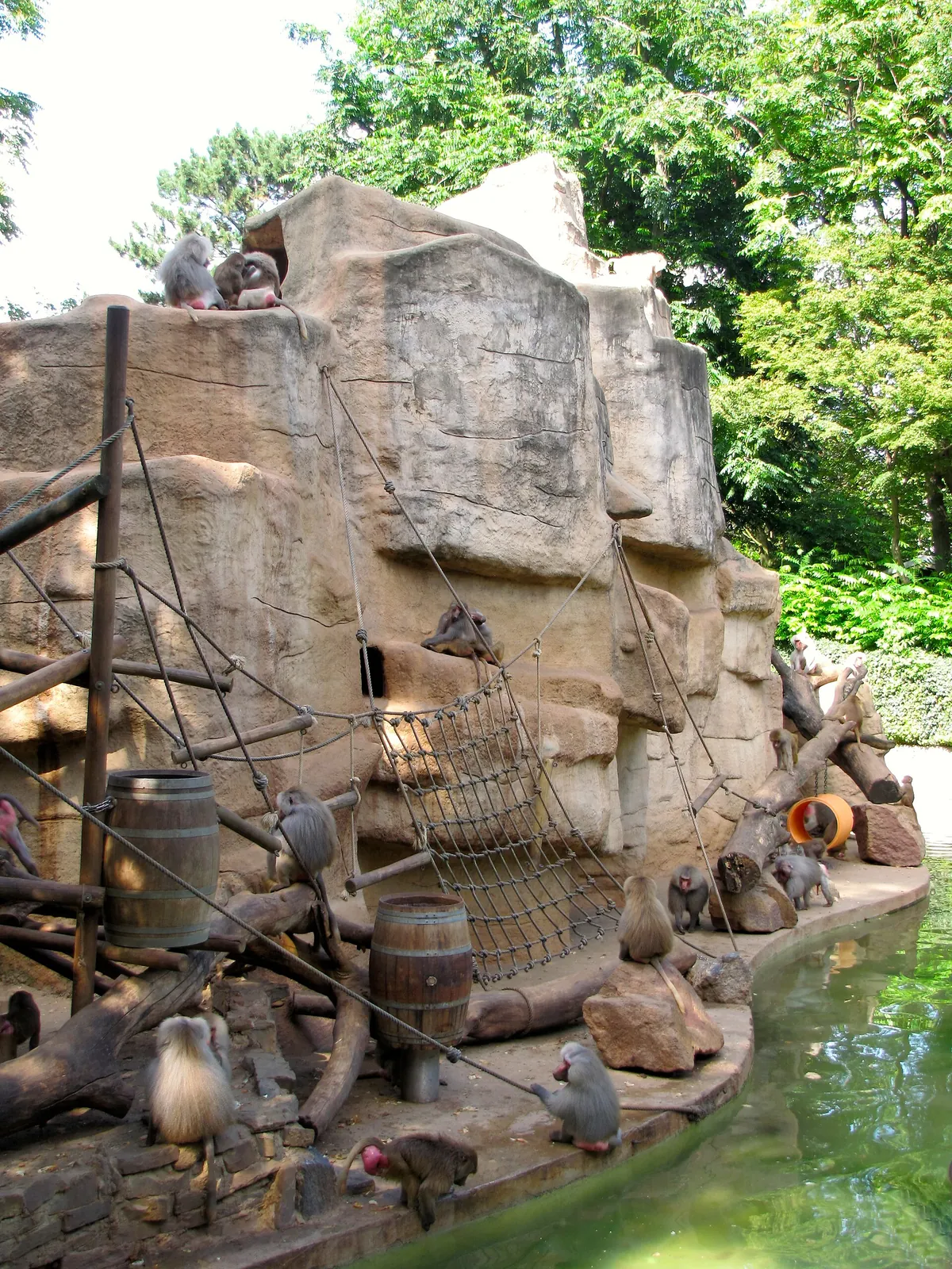 Zoologischer Garten Köln