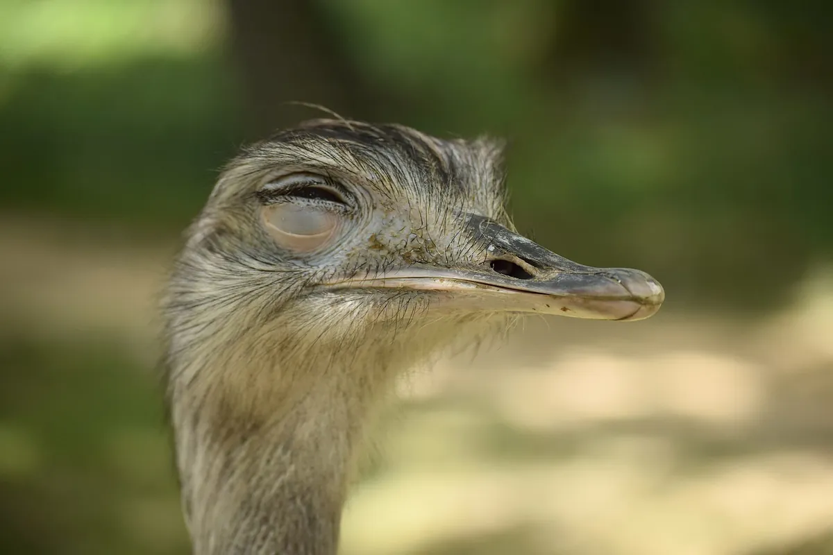 Parc zoologique de Plaisance du Touch