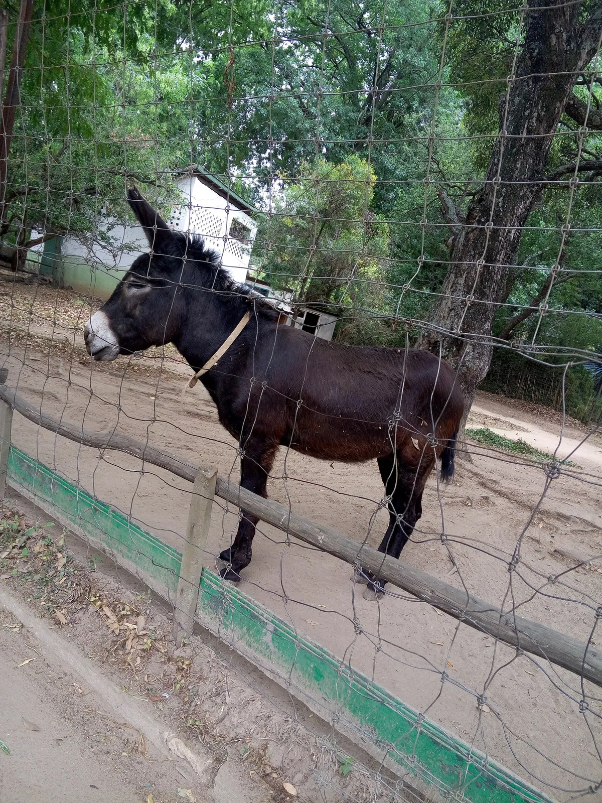 Botanical and Zoological Garden of Tsimbazaza