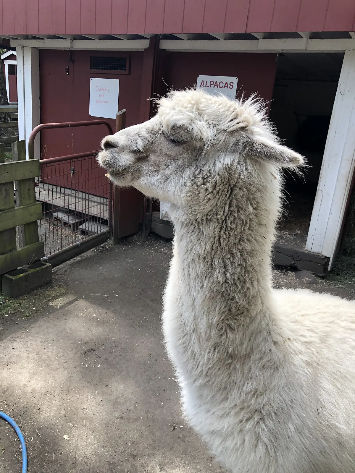 Beacon Hill Children's Farm