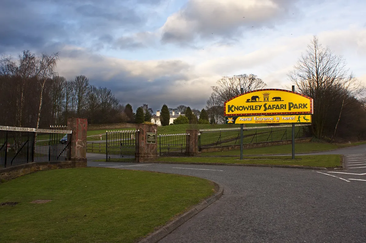 Knowsley Safari