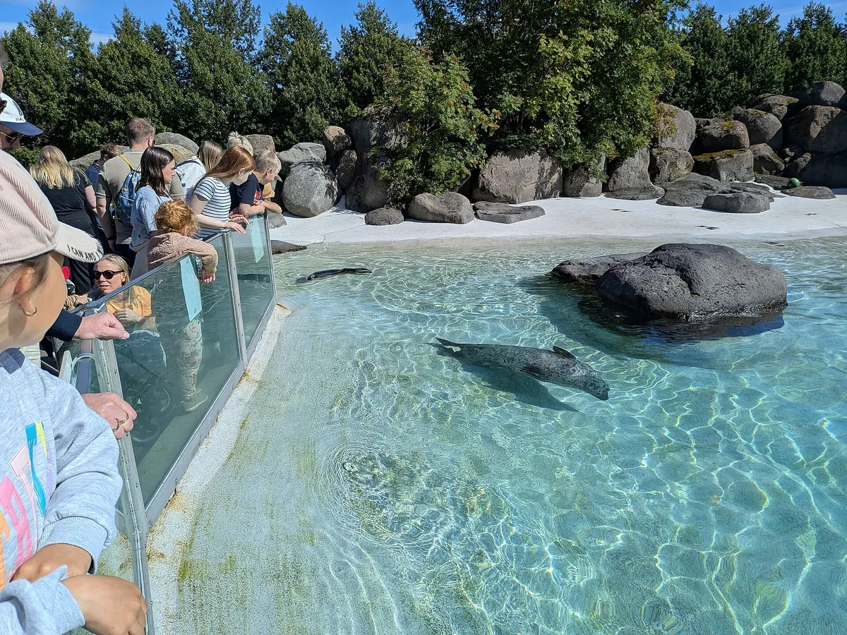 Reykjavík Park and Zoo