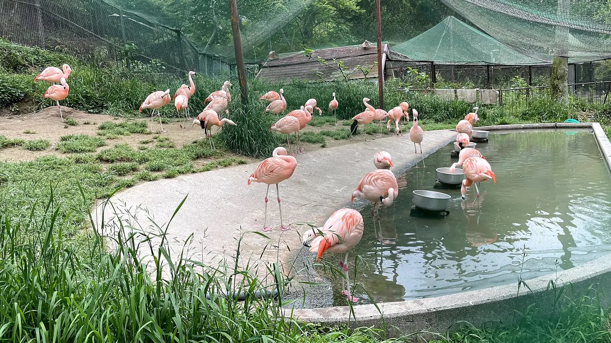 Ikeda Zoo