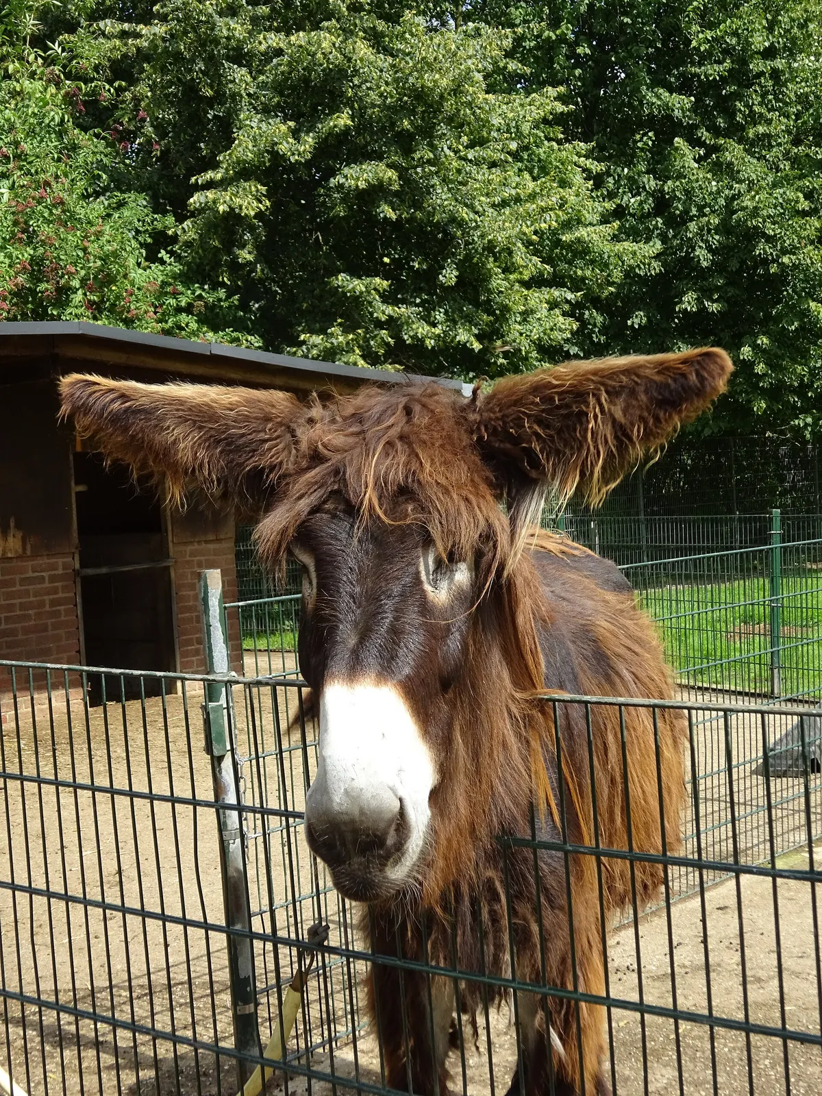 Tiergarten Kleve
