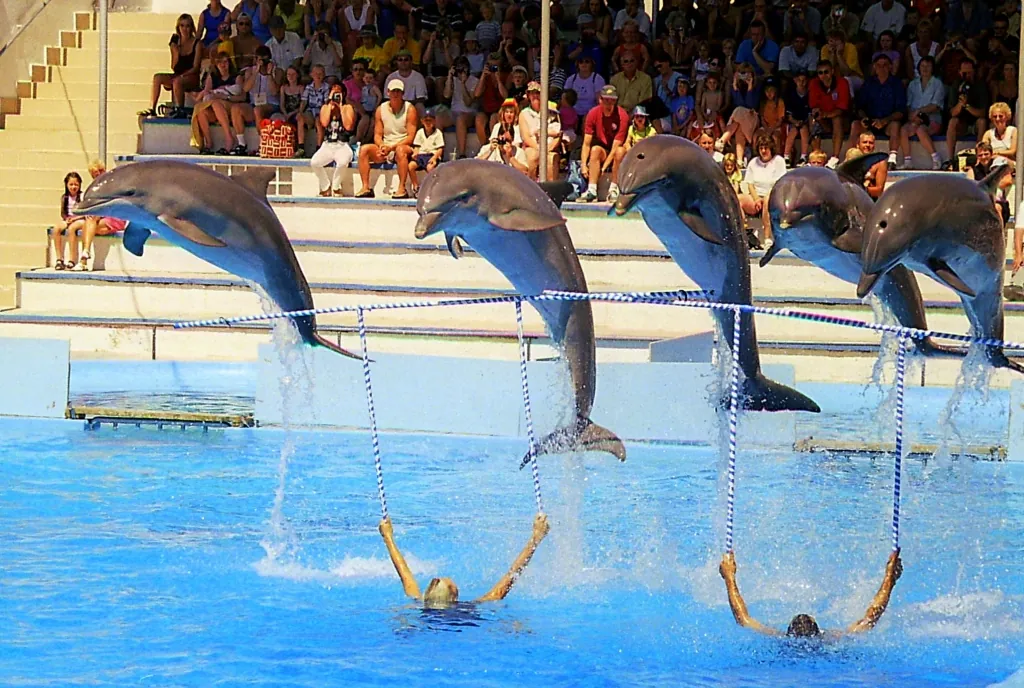 MARINELAND MALLORCA