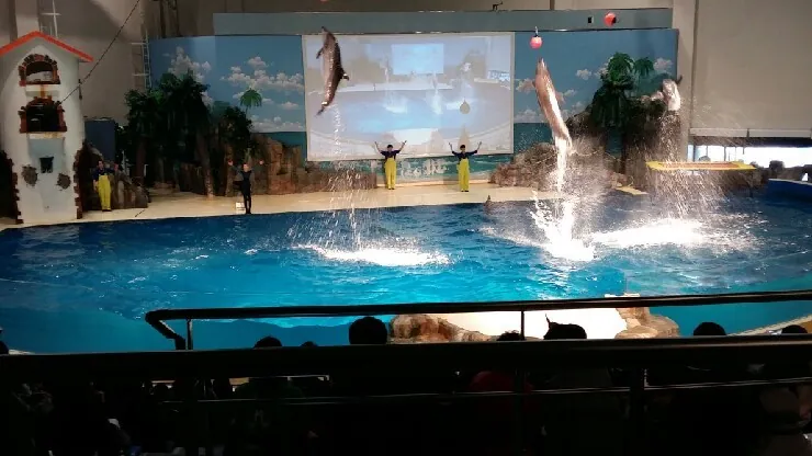 Aqua Planet Jeju