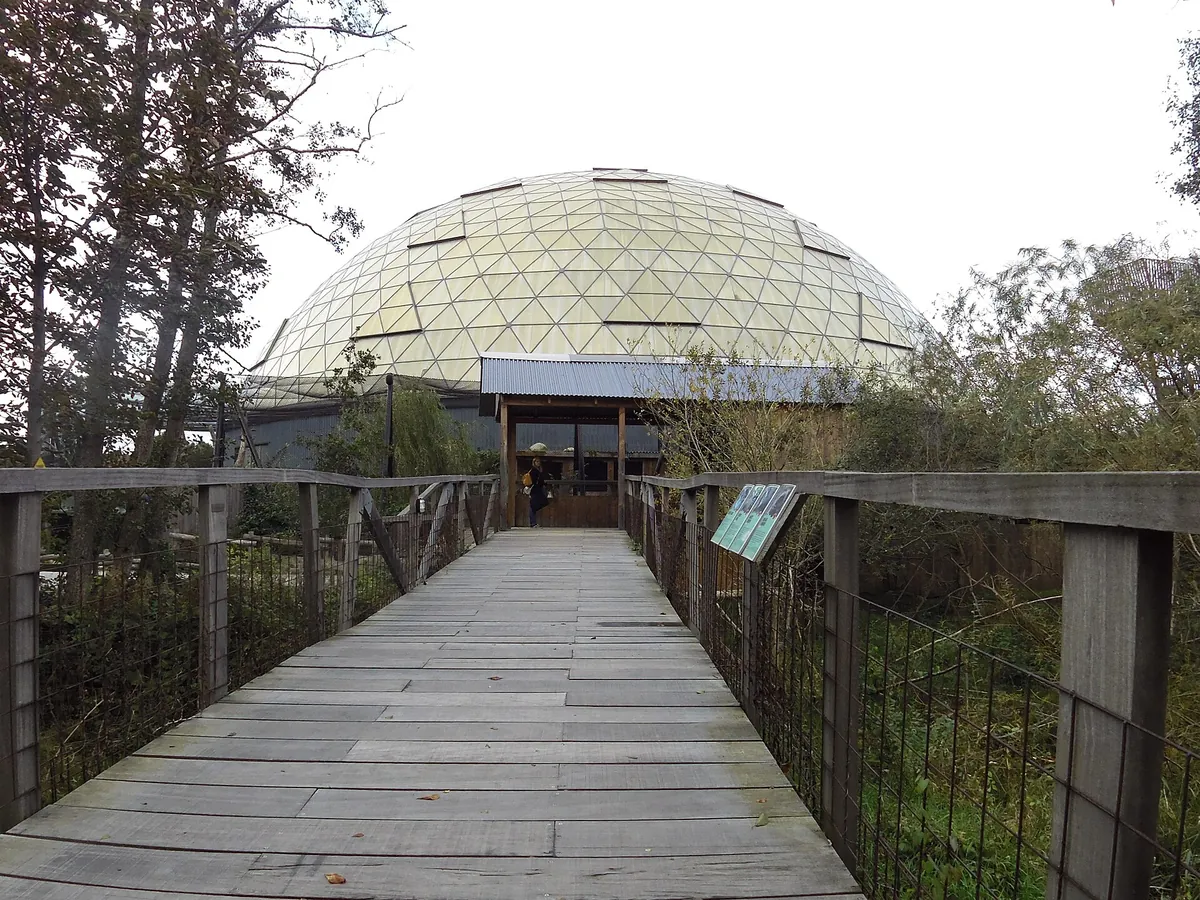 Randers Regnskov, Tropical Zoo