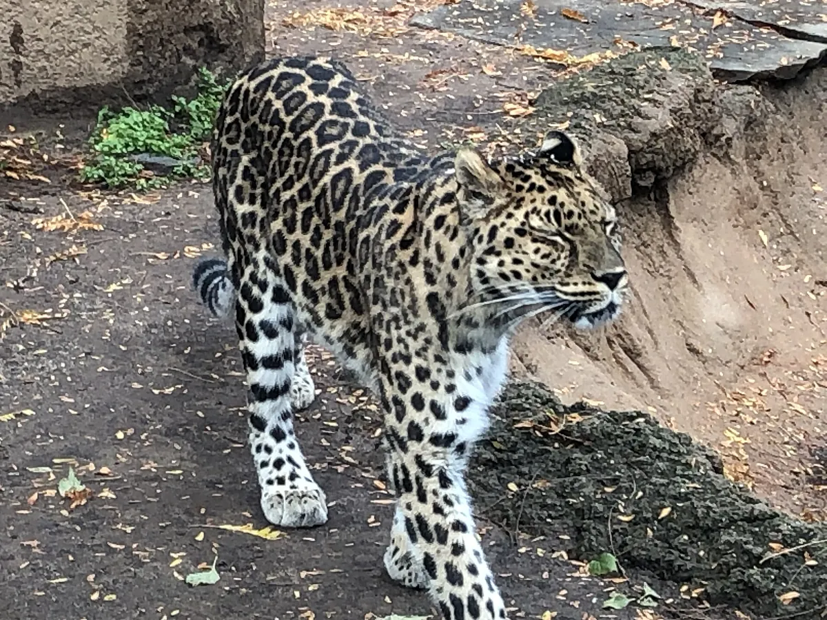 Philadelphia Zoo
