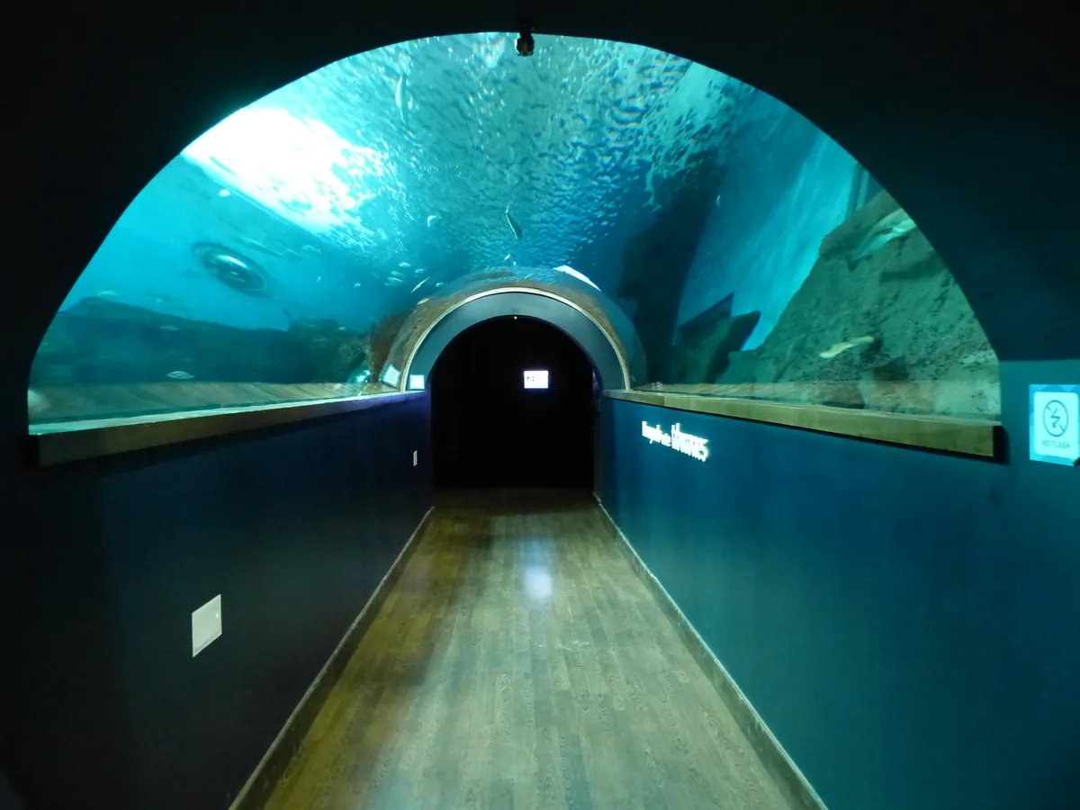 ACUARIO DE SEVILLA