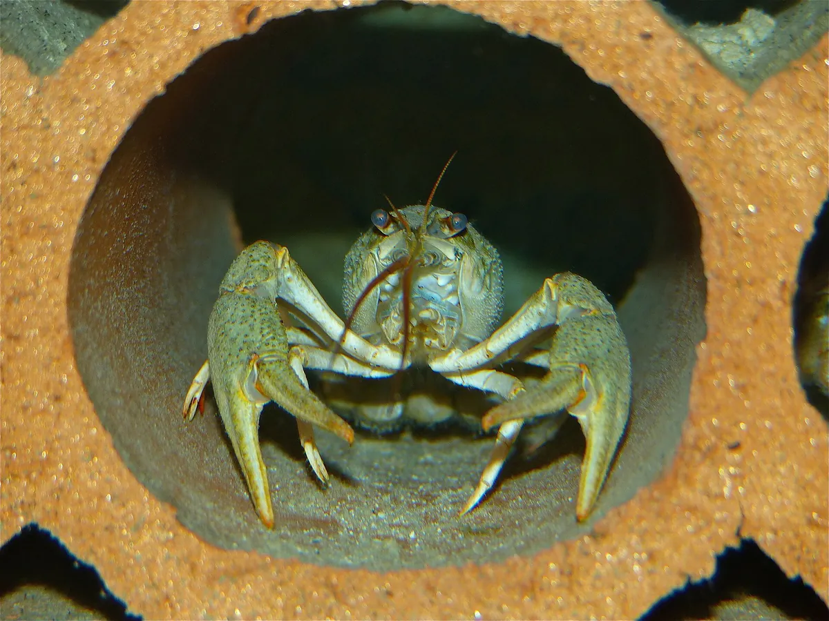 Grand Aquarium de Touraine