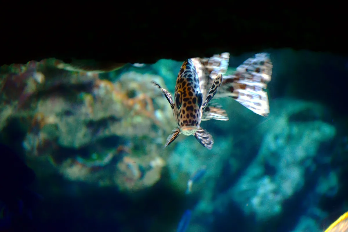 Sea Life İstanbul