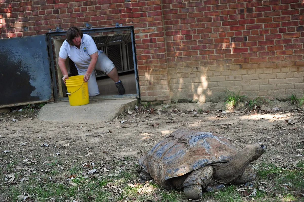 Smithsonian's National Zoo and Conservation Biology Institute