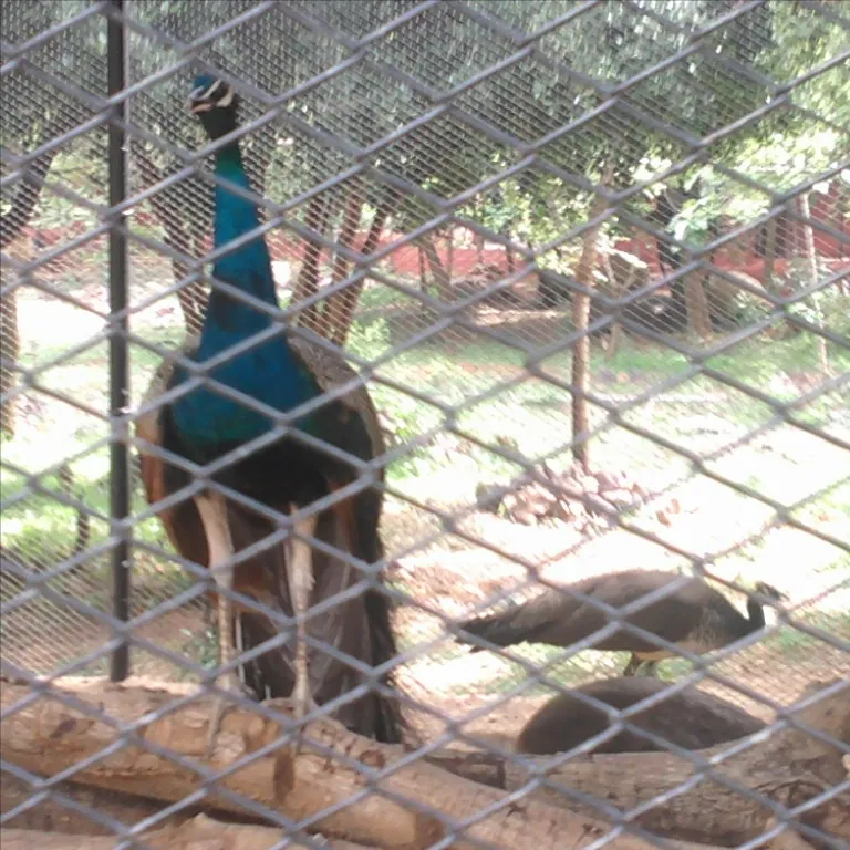 Sri Venkateswara Zoological Park